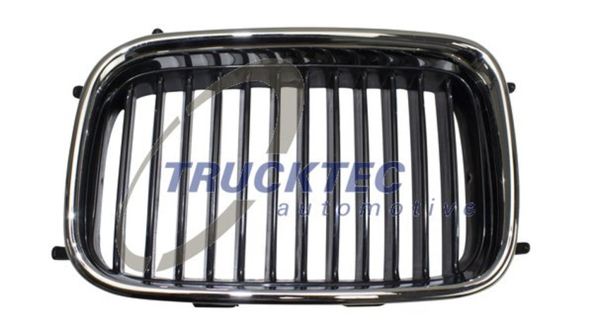 Grila radiator stanga (0862222 TRUCKTEC) BMW