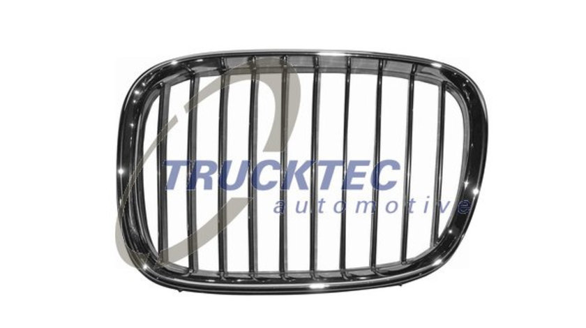 Grila radiator stanga (0862223 TRUCKTEC) BMW