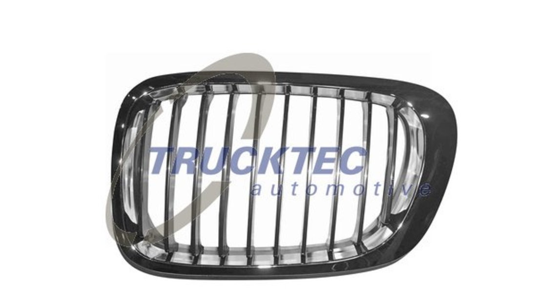 Grila radiator stanga (0862226 TRUCKTEC) BMW