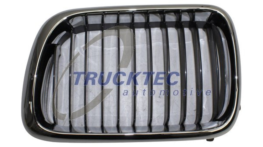 Grila radiator stanga (0862228 TRUCKTEC) BMW