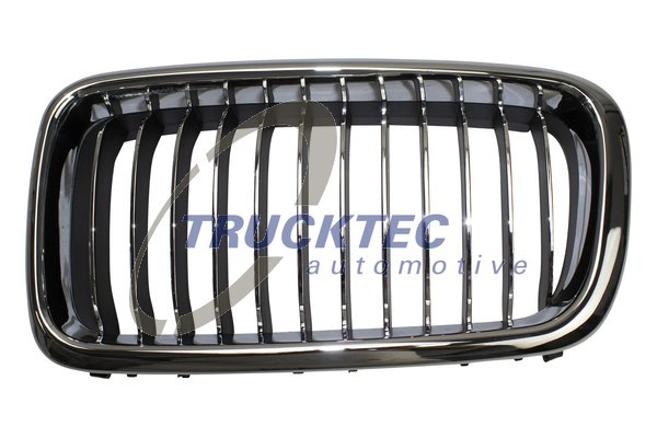 Grila radiator stanga (0862297 TRUCKTEC) BMW