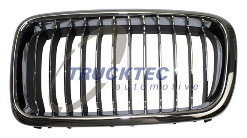 Grila radiator stanga (0862297 TRUCKTEC) BMW