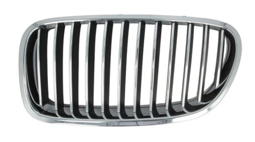 Grila radiator stanga (6502070067993P BLIC) BMW