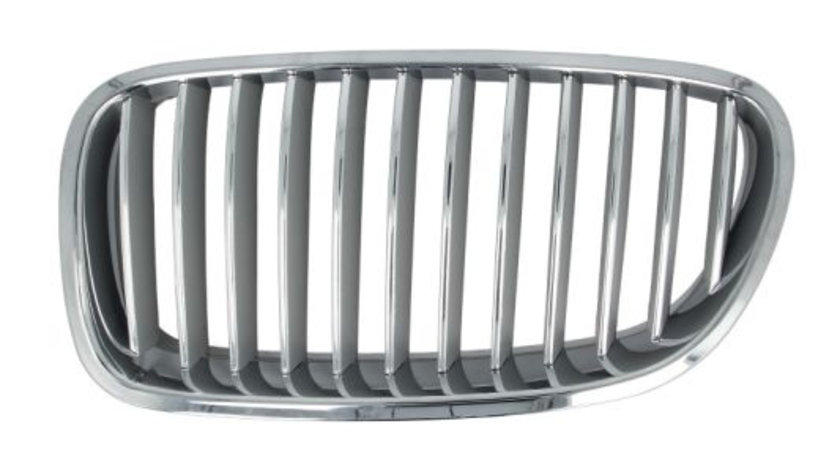 Grila radiator stanga (6502070067995P BLIC) BMW