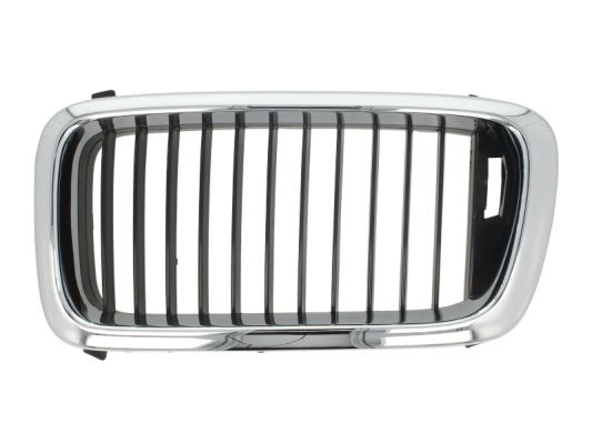 Grila radiator stanga (6502070075991P BLIC) BMW