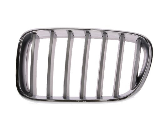 Grila radiator stanga (6502070093997P BLIC) BMW