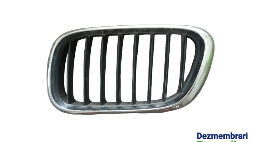 Grila radiator stanga 8247673 51.13-8247673 BMW X5 E53 [1999 - 2003] Crossover 3.0 d AT (184 hp)