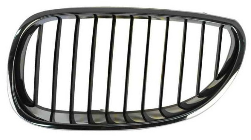 Grila Radiator Stanga Blic Bmw Seria 5 E61 2003-2010 6502-07-0066991P