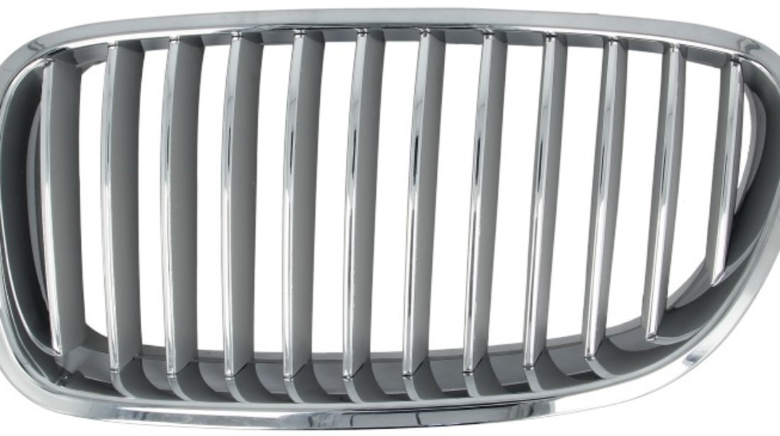 Grila Radiator Stanga Blic Bmw Seria 5 F10 2009-2013 6502-07-0067995P