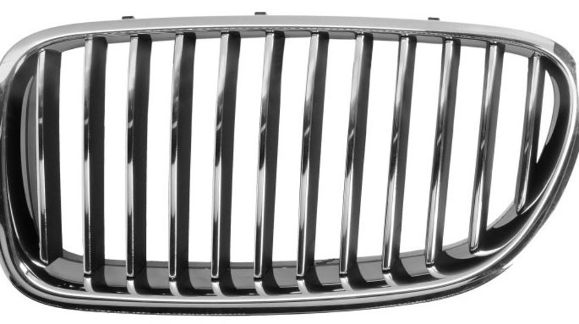 Grila Radiator Stanga Blic Bmw Seria 5 F10 2009-2013 6502-07-0067993Q