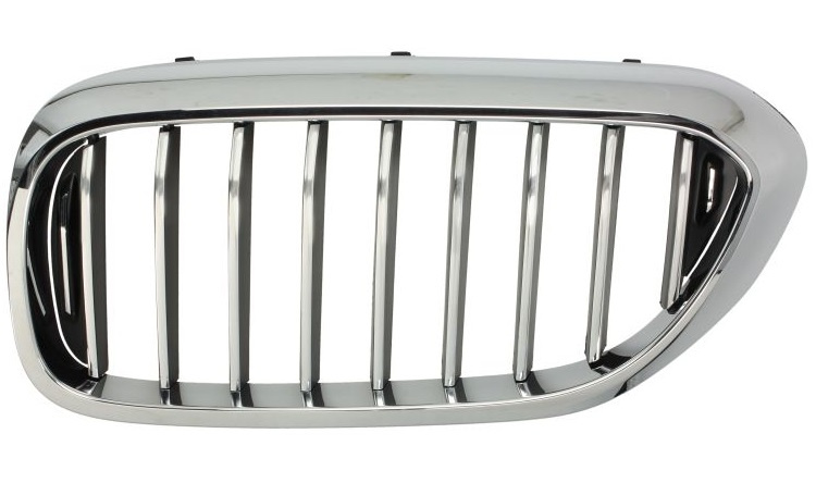Grila Radiator Stanga Blic Bmw Seria 5 G30 2017→ 6502-07-0068995P