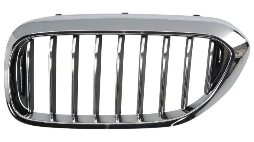 Grila Radiator Stanga Blic Bmw Seria 5 G31 2017→ Luxury 6502-07-0068993P