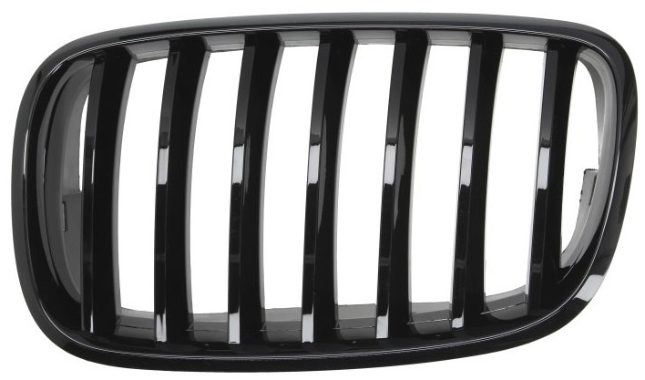 Grila Radiator Stanga Blic Bmw X5 E70 2007-2010 M-Pachet 6502-07-0096993PP