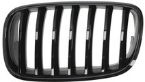 Grila Radiator Stanga Blic Bmw X5 E70 2007-2010 M-...