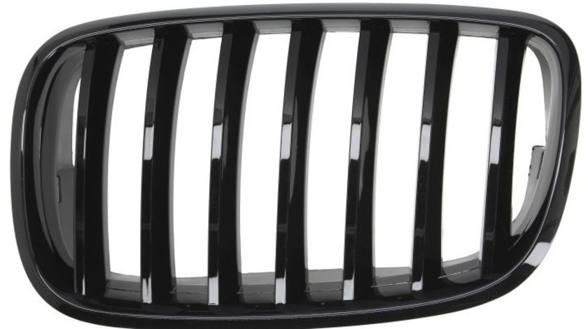 Grila Radiator Stanga Blic Bmw X5 E70 2007-2010 M-Pachet 6502-07-0096993PP