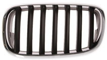 Grila Radiator Stanga Blic Bmw X5 E70 2007-2010 65...