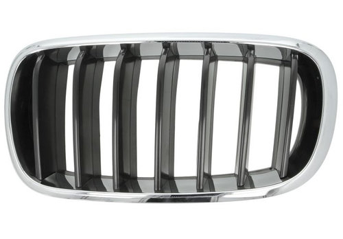 Grila Radiator Stanga Blic Bmw X5 F15 2013-2019 6502-07-00969911P