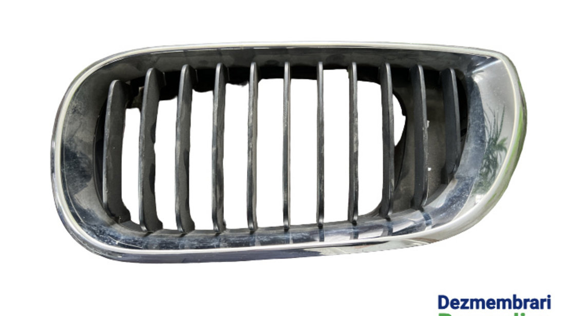 Grila radiator stanga BMW Seria 3 E46 [facelift] [2001 - 2006] Sedan E46 FACELIFT