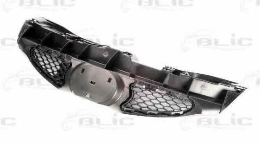 Grila radiator TOYOTA AYGO WNB1 KGB1 BLIC 6502-07-8101990P