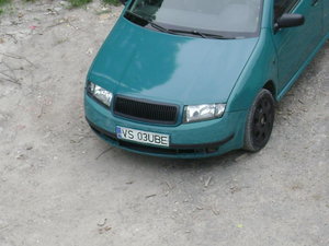 Grila tuning Skoda Fabia I