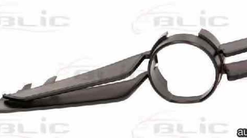 Grila ventilatie bara protectie BMW 3 Cabriolet E46 BLIC 5513-00-0061912P