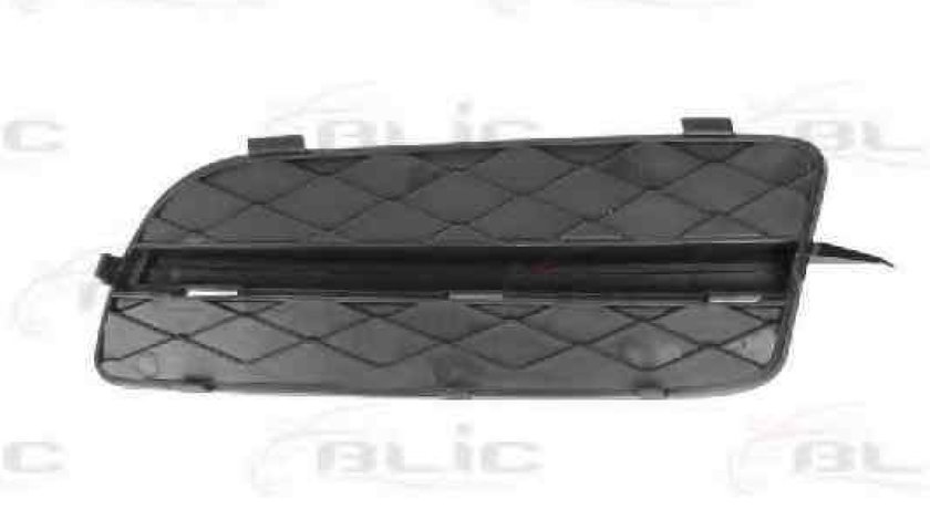 Grila ventilatie bara protectie BMW X5 E70 Producator BLIC 6502-07-0096996P