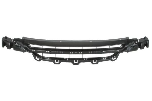 Grila ventilatie, BARA protectie centru (6502070086910P BLIC) BMW