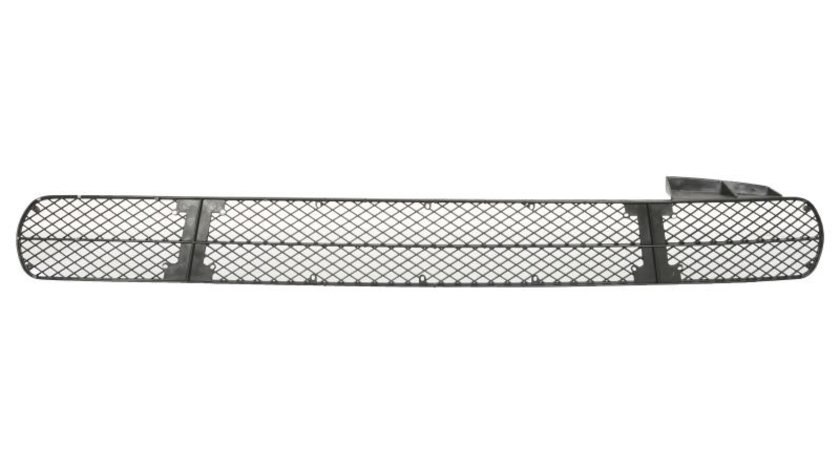 Grila ventilatie, bara protectie CITROEN JUMPER Platform/Chassis (244) BLIC 6502-07-2093910P