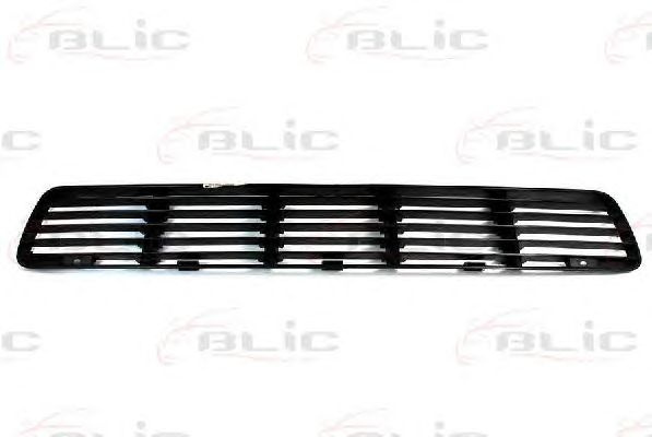 Grila ventilatie, BARA protectie fata (65020700659941P BLIC) BMW