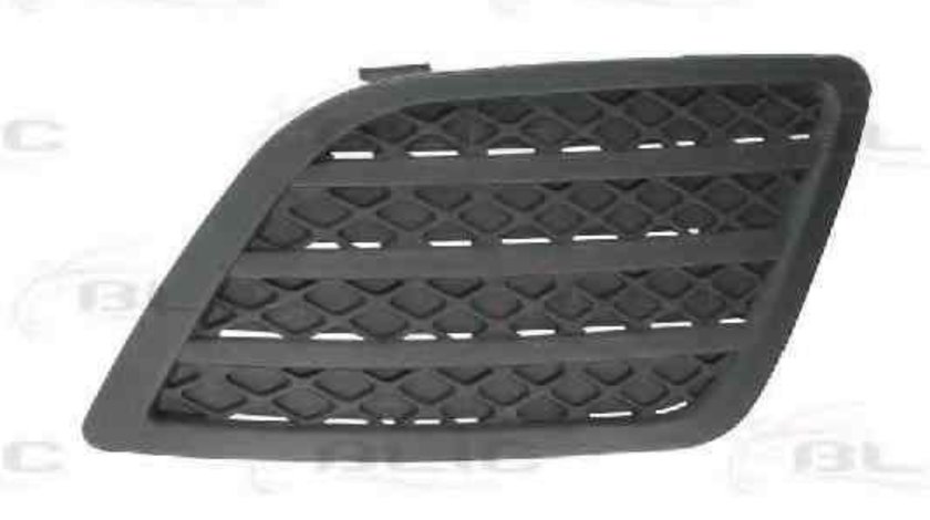 Grila ventilatie, bara protectie FORD FIESTA V (JH_, JD_) BLIC 5513-00-2564923P