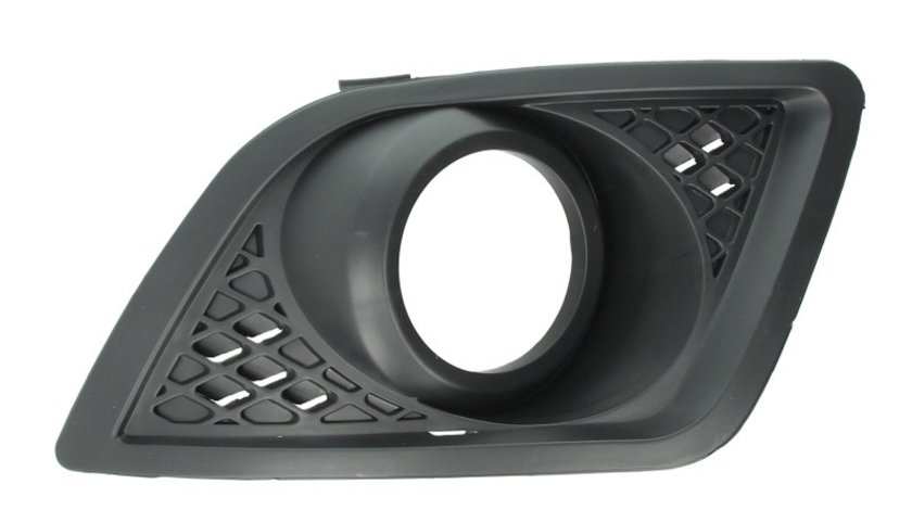 Grila ventilatie, bara protectie FORD FIESTA V (JH_, JD_) BLIC 5513-00-2564925P