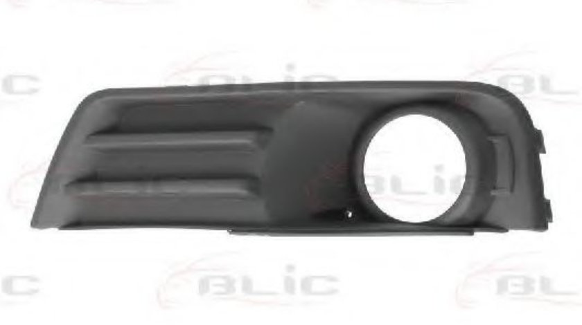 Grila ventilatie, bara protectie FORD FOCUS C-MAX (2003 - 2007) BLIC 6502-07-2534994P piesa NOUA