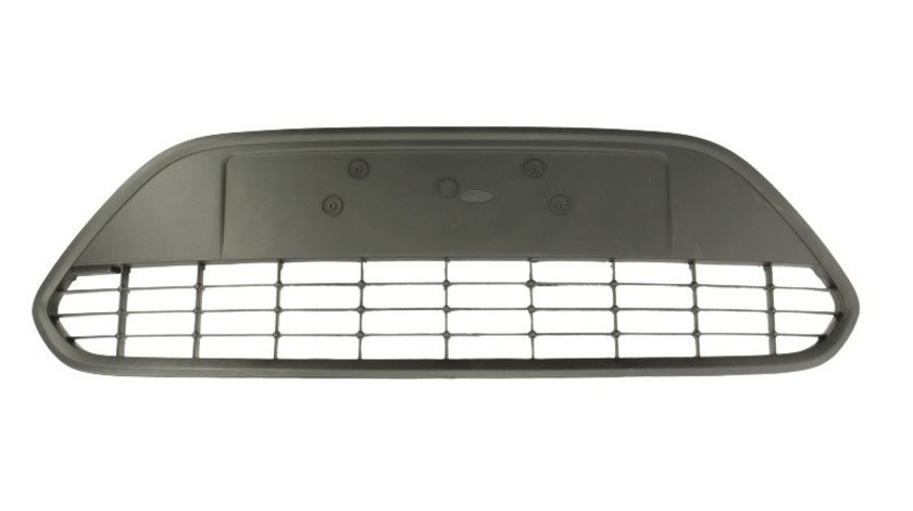 Grila ventilatie, bara protectie FORD FOCUS II (DA_, HCP, DP) BLIC 6502-07-2533910P