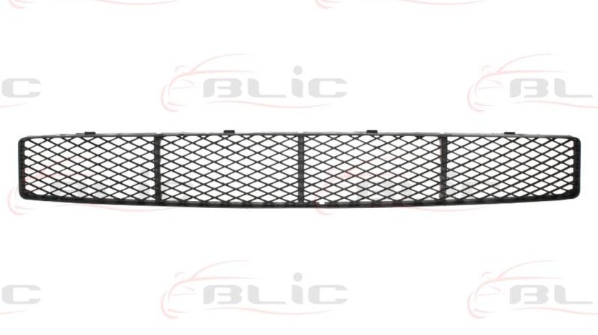 Grila ventilatie bara protectie FORD FOCUS kombi DNW Producator BLIC 5512-00-2532999P