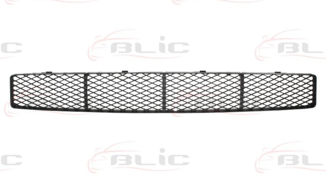 Grila ventilatie bara protectie FORD FOCUS sedan DFW Producator BLIC 5512-00-2532999P