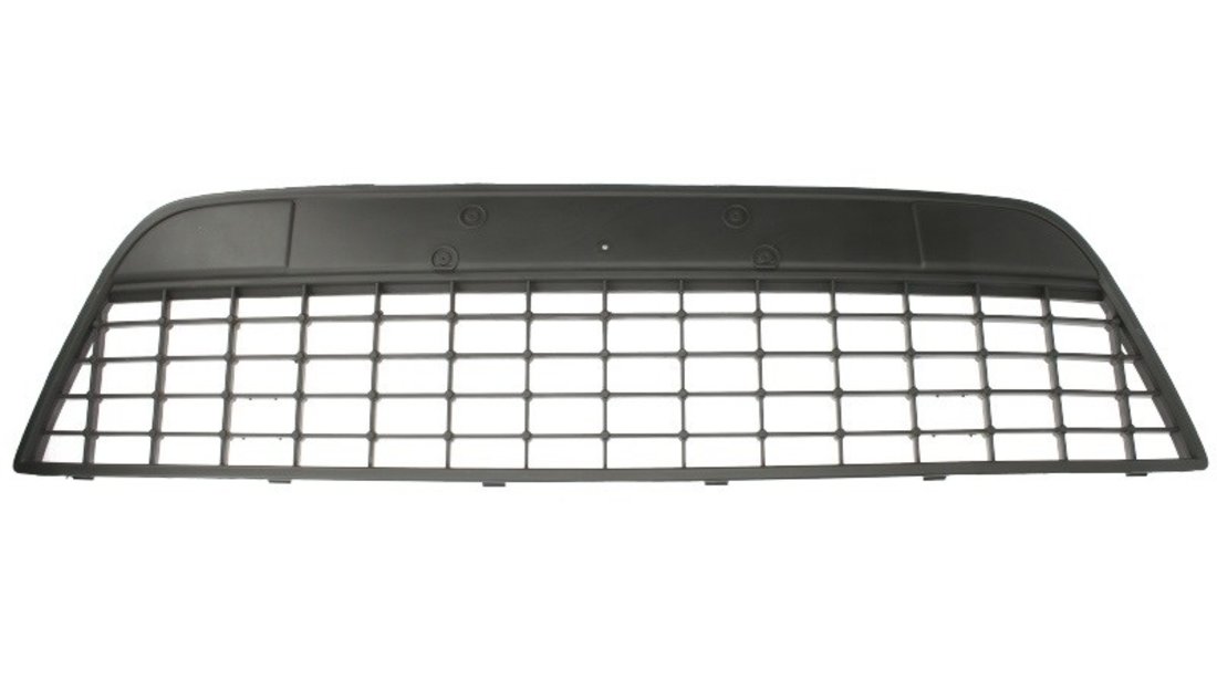 Grila ventilatie, bara protectie FORD MONDEO IV (BA7) BLIC 6502-07-2556999P