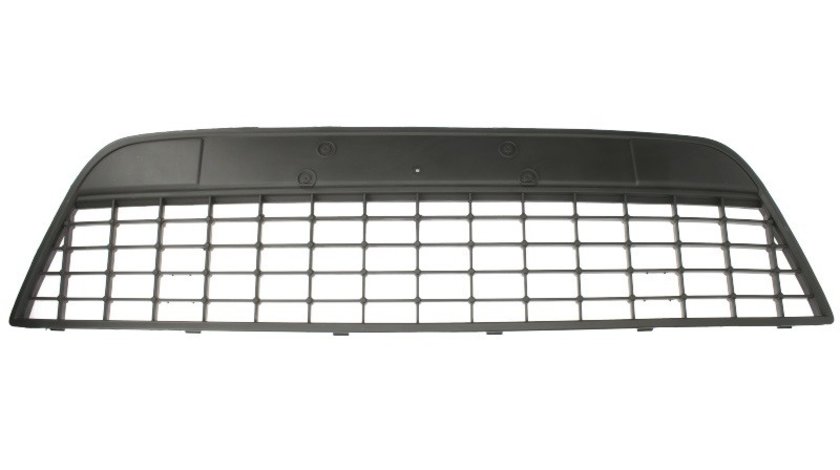 Grila ventilatie, bara protectie FORD MONDEO IV Turnier (BA7) BLIC 6502-07-2556999P