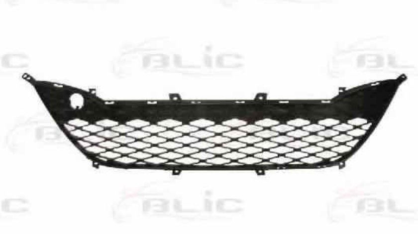 Grila ventilatie bara protectie HYUNDAI i10 PA Producator BLIC 6502-07-3120990P