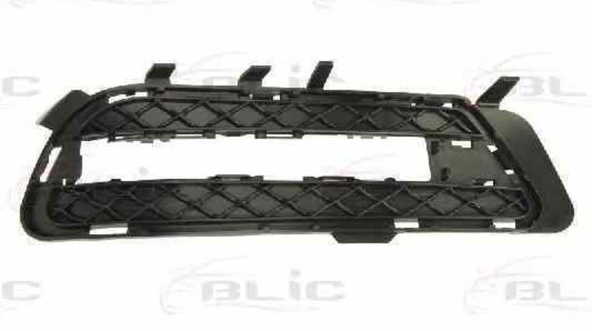 Grila ventilatie bara protectie MERCEDES-BENZ E-CLASS W212 BLIC 6502-07-3529916P