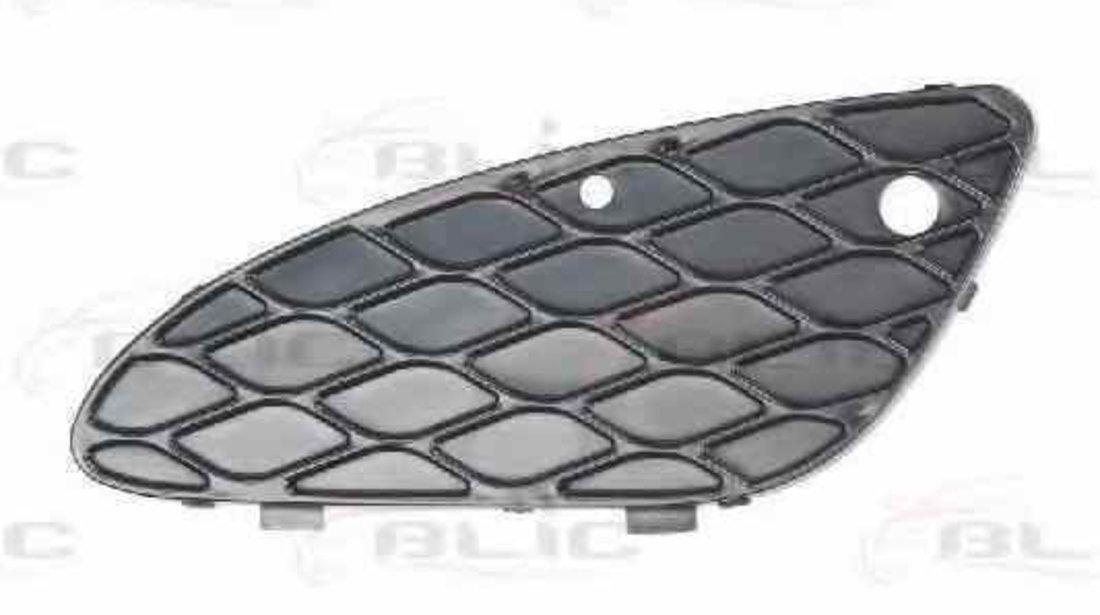 Grila ventilatie bara protectie MERCEDES-BENZ E-CLASS W211 BLIC 5601-00-3528997P