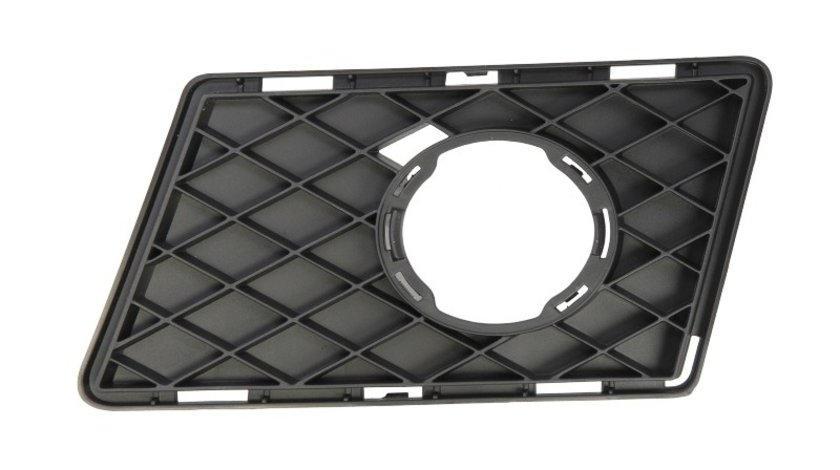 Grila ventilatie, bara protectie MERCEDES-BENZ GLK-CLASS (X204) BLIC 6502-07-3580915P