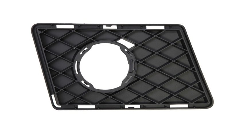 Grila ventilatie, bara protectie MERCEDES-BENZ GLK-CLASS (X204) BLIC 6502-07-3580916P