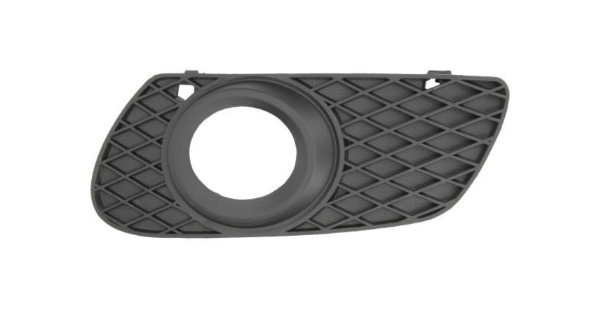 Grila ventilatie, bara protectie MERCEDES-BENZ M-CLASS (W164) BLIC 6502-07-3538913P