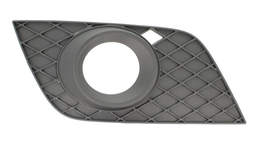 Grila ventilatie, bara protectie MERCEDES-BENZ M-CLASS (W164) BLIC 6502-07-3538918P