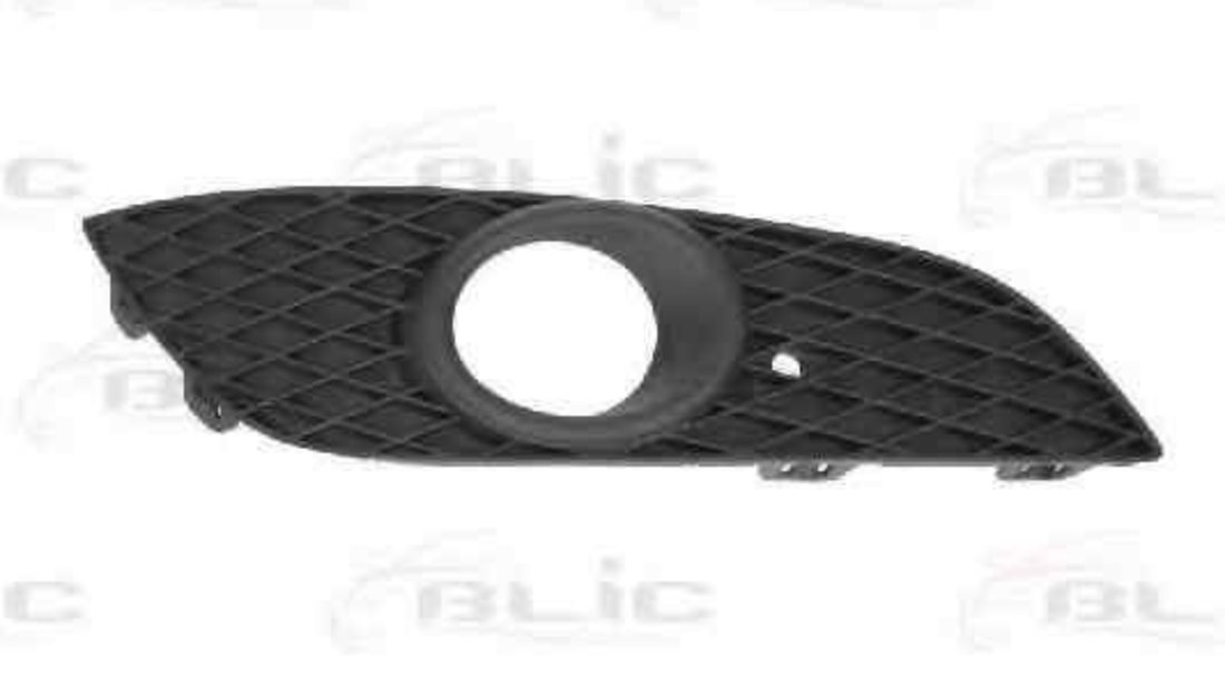 Grila ventilatie, bara protectie OPEL ASTRA H (L48) BLIC 6502-07-5052913P