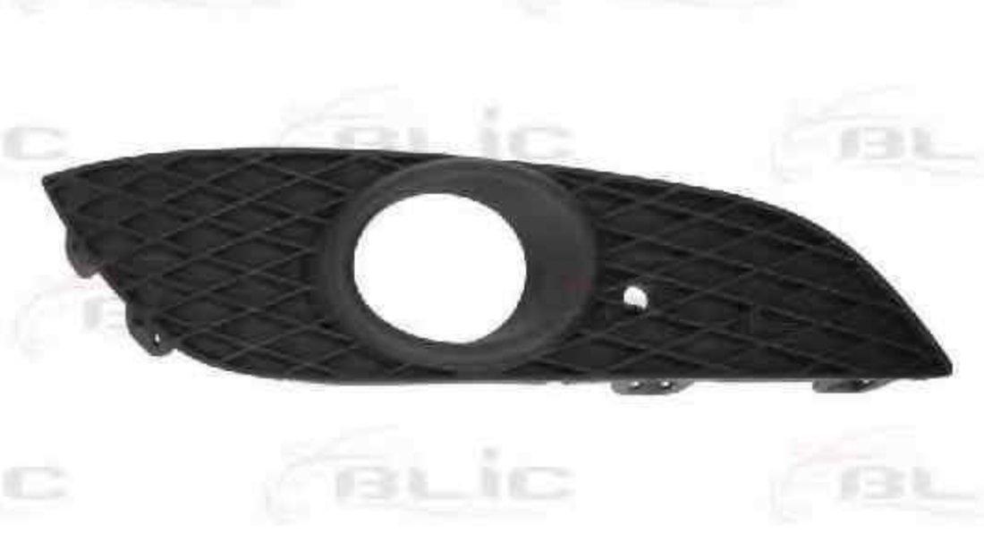 Grila ventilatie, bara protectie OPEL ASTRA H combi (L35) BLIC 6502-07-5052914P