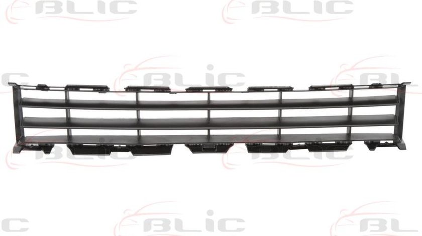 Grila ventilatie bara protectie RENAULT MEGANE II kombi KM0/1 Producator BLIC 6502-07-6041910P