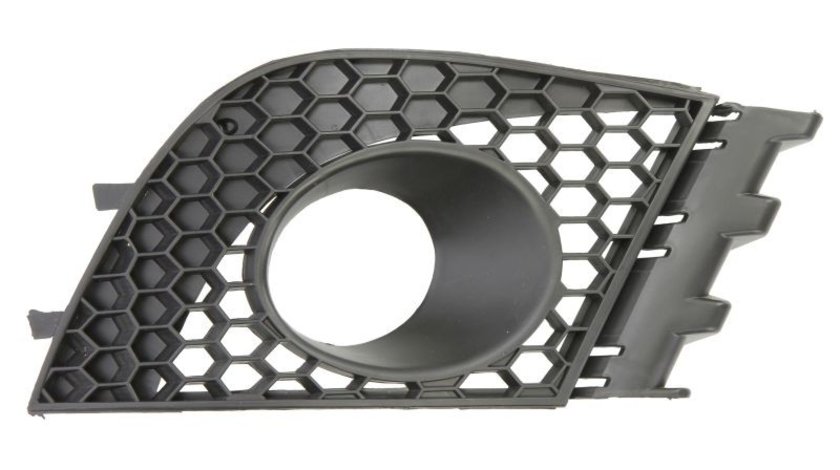 Grila ventilatie, bara protectie SEAT IBIZA BLIC 6502-07-6609914P