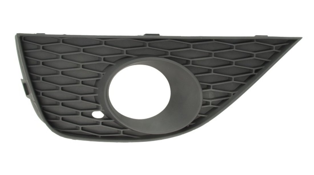 Grila ventilatie, bara protectie SEAT IBIZA BLIC 6502-07-6621913P