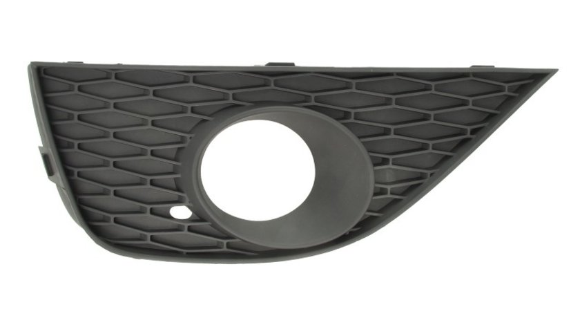 Grila ventilatie, bara protectie SEAT IBIZA BLIC 6502-07-6621913P